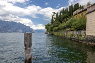 On the lakeshore of Malcesine, Lake Garda, Province of Verona, Italy, Europe