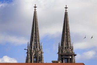 Spires, 1859-1869, from St Peter's Cathedral, Regensburg, Upper Palatinate. Bavaria, Germany,