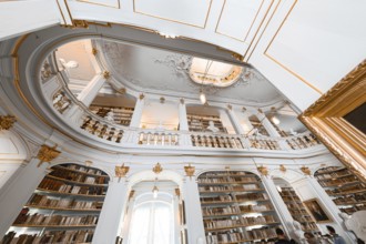 Magnificent baroque library with golden decorations and high bookshelves, Weimar, Germany, Europe