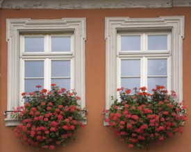 Old orange painted stucco cladded architectural style building facade with greyish white trim