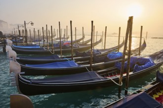 View from 'Colonna di San Marco e San Teodoro' on the gondolas lying in the water at sunrise in