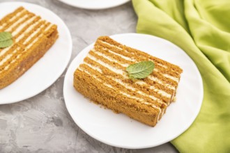 Homemade honey cake with milk cream and mint with cup of coffee on a gray concrete background and