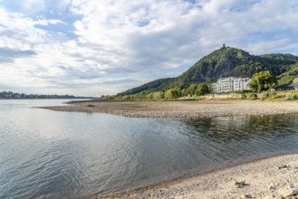 The Rhine at extremely low water, near Bad Honnef Rhöndorf, below the Drachenfels, Nonnenwerth