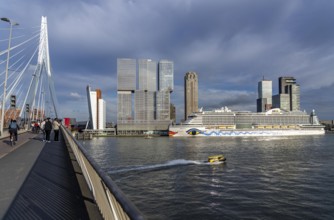 Rotterdam, skyline at the Nieuwe Maas, Erasmus Bridge, skyscrapers at the Kop van Zuid district,