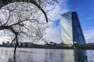 Building of the European Central Bank, ECB, on the Main in Frankfurt, Hesse, Germany, Europe