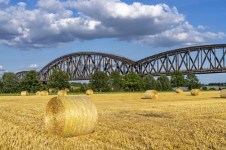 Grain field, harvested, straw bales, near Duisburg-Baerl, the Haus-Knipp railway bridge, North