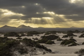 Wide desert landscape with dark clouds and sunbeams breaking through, Canary Islands, Lanzarote,