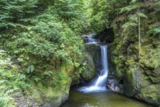 The Geroldsau Waterfall, Geroldsau, Baden-Baden, Baden-Württemberg, Germany, Europe