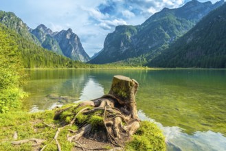 Emerald waters reflecting majestic peaks create a stunning landscape at lake dobbiaco in the