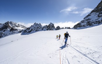 Ski tourer with rope, rope team on the Vadret da Porchabella glacier on the ascent to the summit of