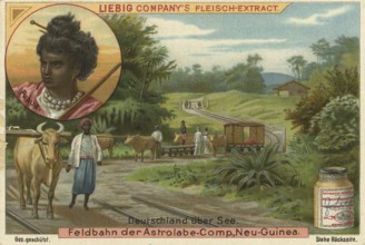 Picture series German overseas colonies, field railway of the Astrolabe Company in New Guinea,