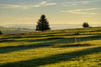 View from the Heidelstein, Schwabenhimmel, UNESCO Biosphere Reserve, near Hausen, Rhön, Bavarian