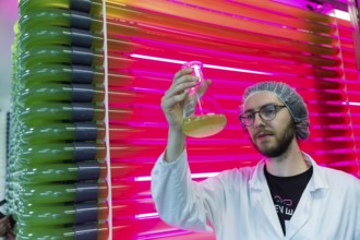 PUEVIT GmbH produces the most efficient photobioreactors for the cultivation of microalgae. The aim