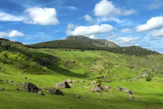 Lush Green Landscape of Mont Mezenc in in the Monts d'Ardeche Regional Natural Park,