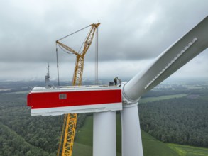 Dorsten, North Rhine-Westphalia, Germany, construction of a wind turbine. A large mobile crane