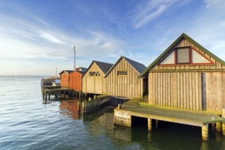 Wooden boathouses in the harbour of the village Althagen, Fischland-Darß-Zingst,