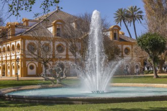 Royal Andalusian Riding School, Jerez de la Frontera, Andalusia, Spain, Europe