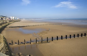 Man digging for worms on sandy beach, Bridlington, Yorkshire, England with groynes and sea wall