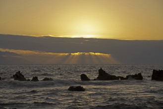 Sunset, evening mood on Tenerife, Canary Islands, Spain, Europe
