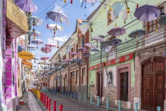 The Witches Market, La Paz, Bolivia, South America