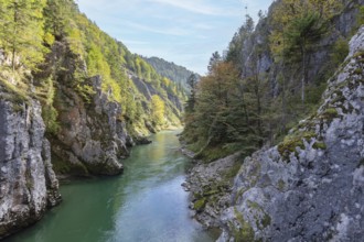 A river that flows through a narrow gorge with high, wooded cliffs, Klobenstein