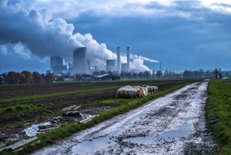 Field path, lignite-fired power station, RWE Power AG Niederaußem power station, near Bergheim,