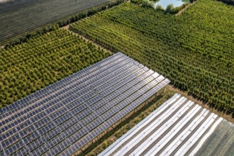 Agri-photovoltaic test plant, an apple orchard with two different systems of PV modules was roofed
