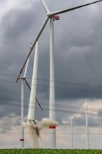 Demolition of the tower of a 20 year old wind turbine, in the Werl wind farm, 5 old Enercon E-66