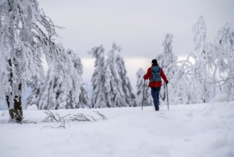 Winter in Sauerland, Hochsauerlandkreis, at Kahler Asten, near Winterberg, few tourists, visitors,