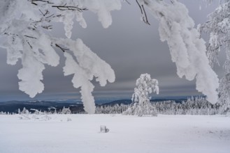 Winter in Sauerland, Hochsauerlandkreis, at Kahler Asten, near Winterberg, few tourists, visitors,