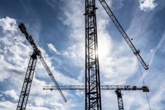 Construction cranes on two large construction sites, construction of office buildings in