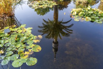Westfalenpark, with 70 hectares, one of the largest inner-city parks in Europe, water plant basin,