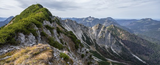 Austrian and Bavarian Schinder, Tegernsee mountains in the Mangfall mountains, Germany, Europe