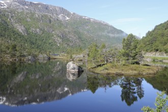Pine-covered island in the lake, Lofoten, Norway, Scandinavia, Europe