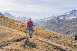 Hiker on hiking trail, snow-covered mountains, Ötztal, Tyrol, Austria, Europe