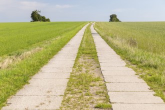 Field path and wide sky, district of Central Saxony, Saxony, Germany, Europe