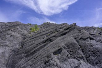 Dark slate, Entraunes, Département Alpes-Maritimes, France, Europe