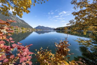 View over the lake to the village Walchensee, Walchensee with Jochberg, lake with reflection,