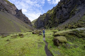 Hiking trail through a green moss-covered gorge, enchanted volcanic landscape, Pakgil, Iceland,
