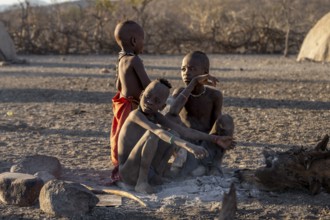 Himba children sitting by the fire, in the morning light, traditional Himba village, Kaokoveld,