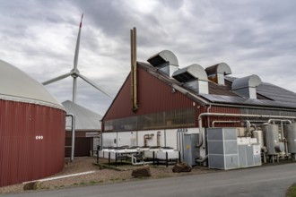 Biogas plant produces gas from various biomass, electricity is generated in combined heat and power