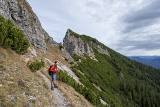 Hiker on the Schinder, Tegernsee mountains in the Mangfall mountains, Germany, Europe