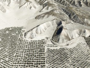 Badlands and cultivated olive trees (Olea europaea) . Aerial view. Drone shot. Granada province,