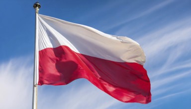 Flags, the national flag of Poland flutters in the wind