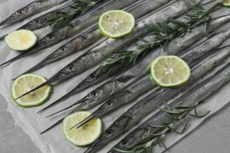 Fresh, Black Sea fish. raw, sargan, sea pike, top view, no people