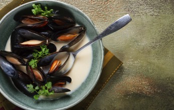 Mussels in shells, in creamy garlic sauce, mussels in bechamel sauce, homemade, no people