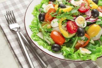 Gemüsesalat, mit Wachteleiern und Oliven, frisch, Nahaufnahme, ohne Personen