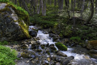 Ushuaia, Tierra del Fuego, Argentina, mountain stream on the hiking trail to the Martial glacier on