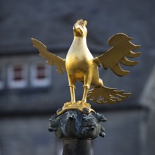 Gilded imperial eagle as a fountain eagle on the market fountain, Old Town, Goslar, UNESCO World