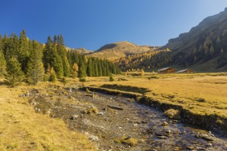 Lenzanger creek, Hohe Tauern NP, Kolm Saigurn valley head, Rauris Valley, Austria, Europe